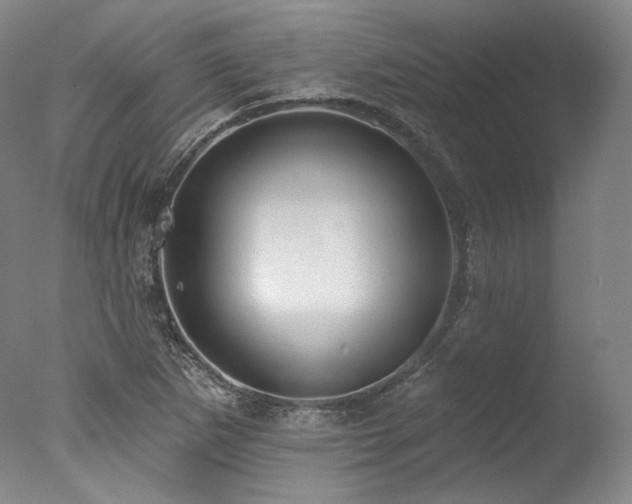 X0000077411265200610201451