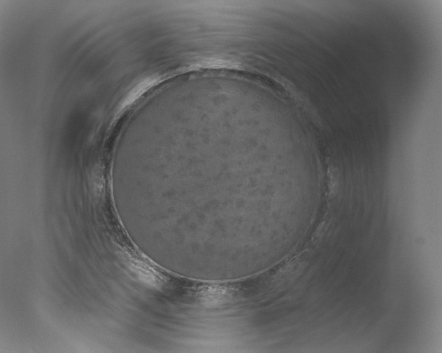 X0000077411266200610201451