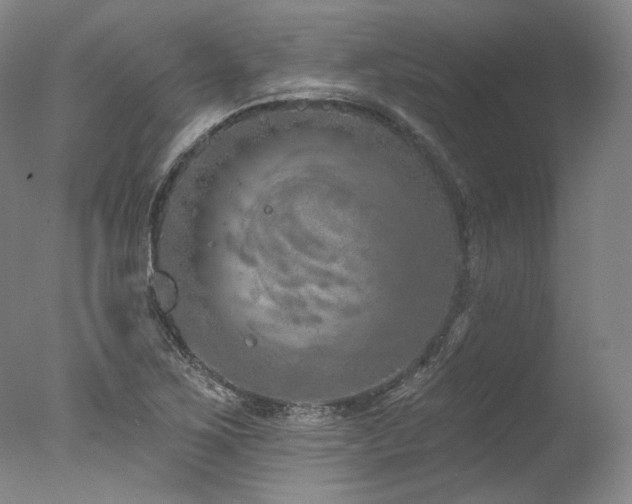 X0000077411267200610201451