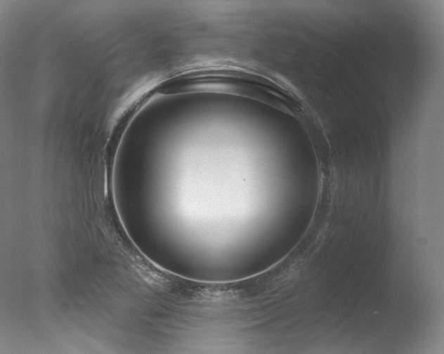 X0000077411269200610201451
