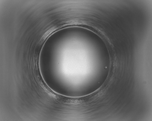X0000077411273200610201451
