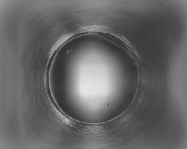 X0000077411285200610201451