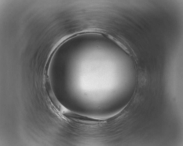 X0000077411292200610201451