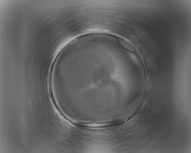 X0000077411295200610201451