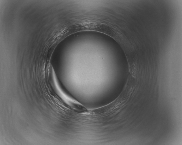 X0000077411298200610201450