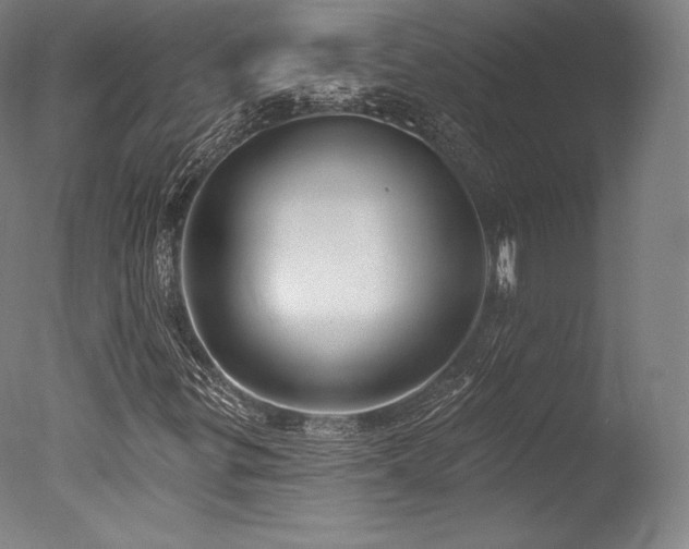 X0000077411299200610201450