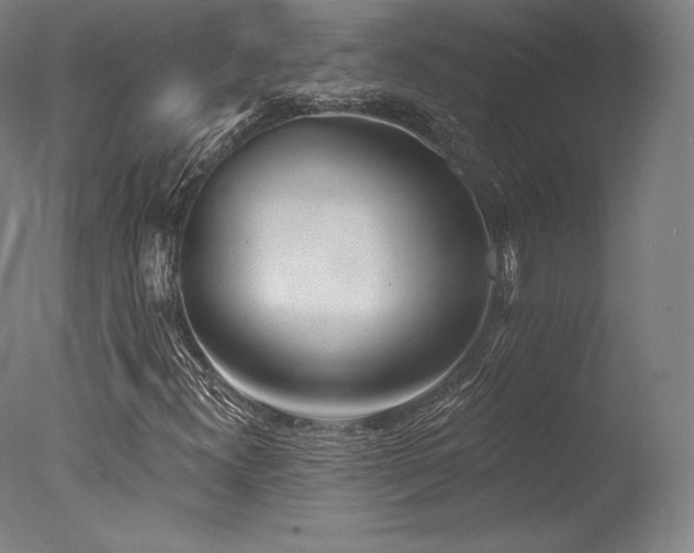 X0000077411300200610201450