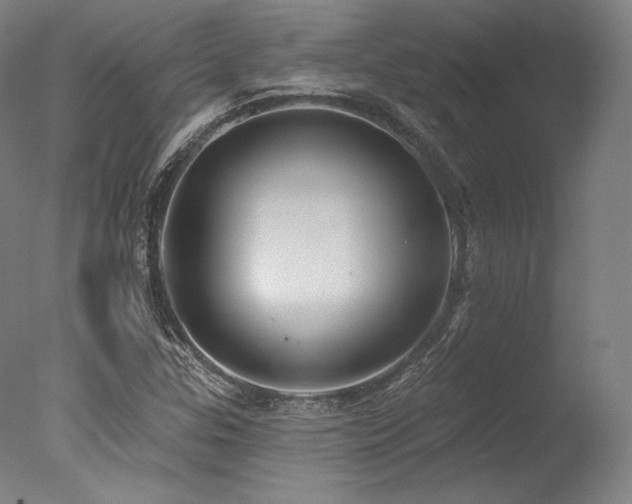 X0000077411307200610201450