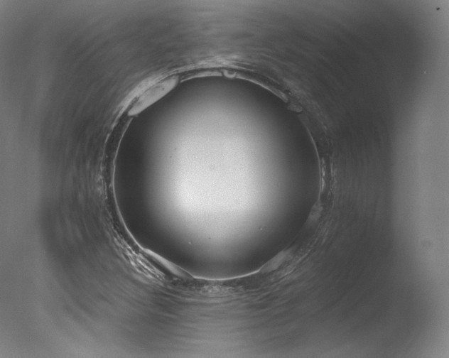 X0000077411308200610201450