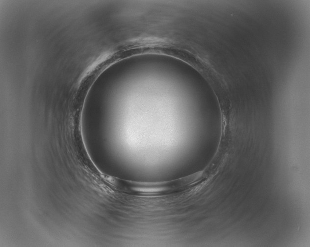 X0000077411309200610201450