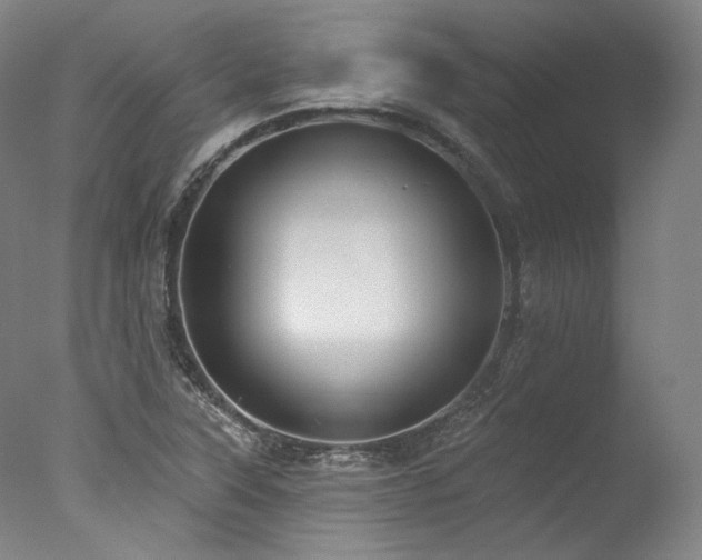 X0000077411315200610201450