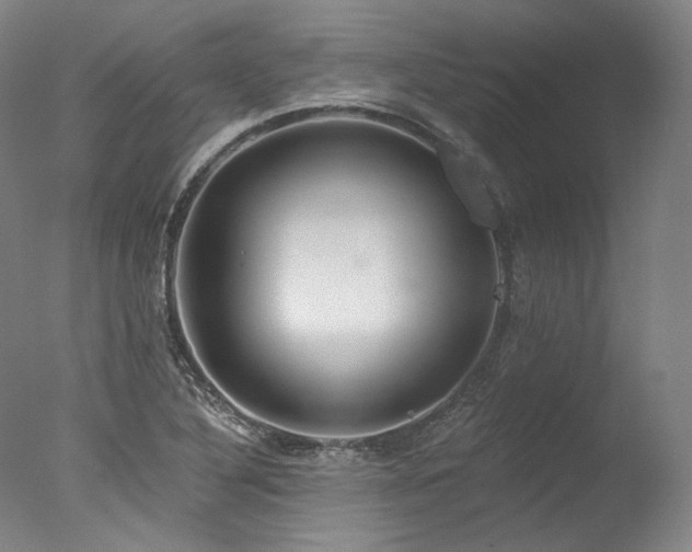 X0000077411316200610201450
