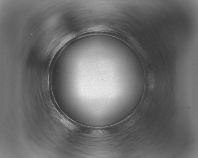 X0000077411322200610201451