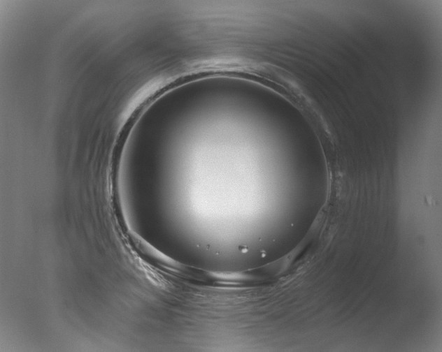 X0000077411328200610201451