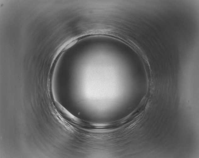 X0000077411340200610201451