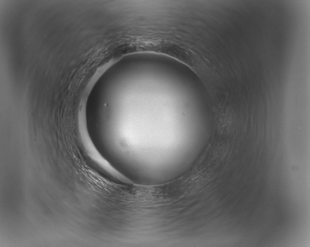 X0000077411345200610201450