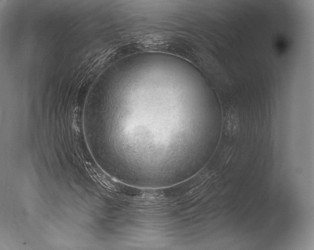 X0000077411346200610201450