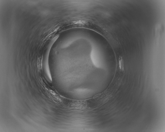 X0000077411347200610201450