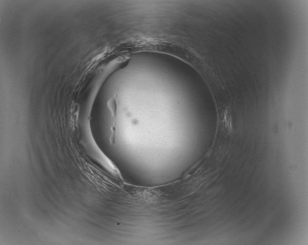 X0000077411348200610201450