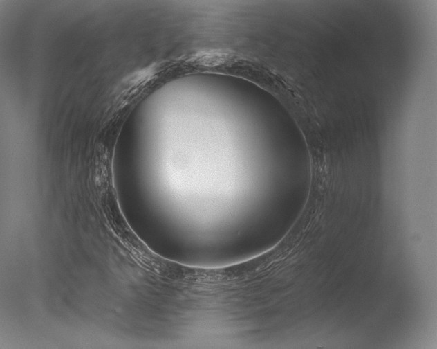 X0000077411349200610201450