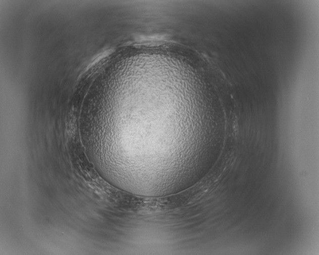 X0000077411350200610201450