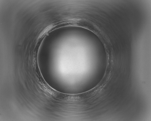 X0000077411354200610201450