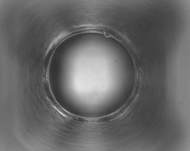 X0000077411357200610201450
