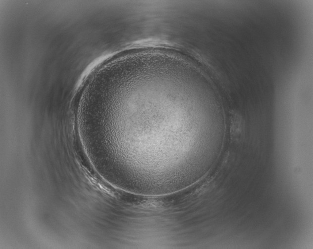 X0000077411358200610201450