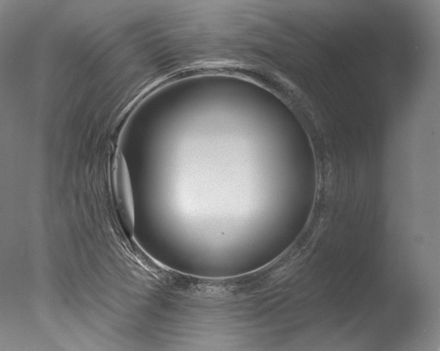 X0000077411361200610201450
