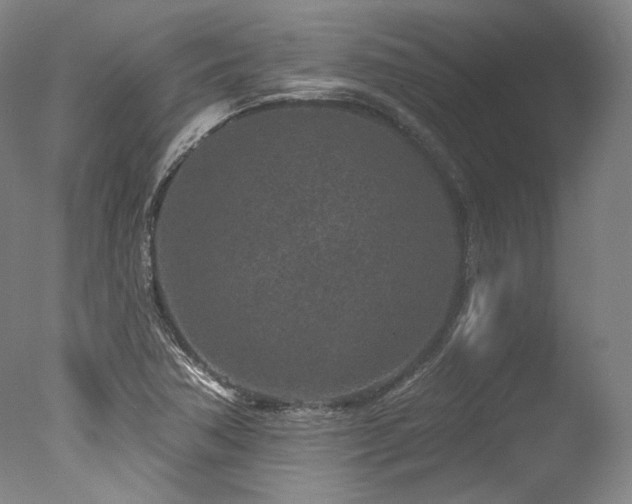 X0000077411362200610201450