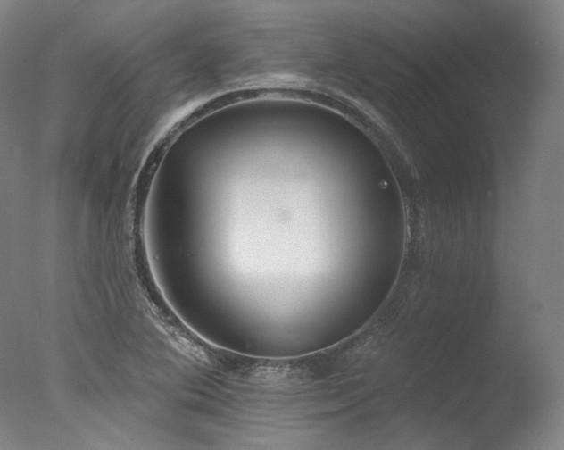 X0000077411364200610201450