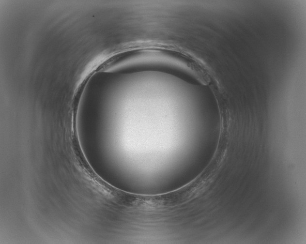 X0000077411365200610201450