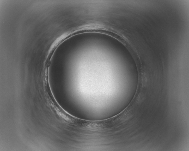 X0000077411366200610201450