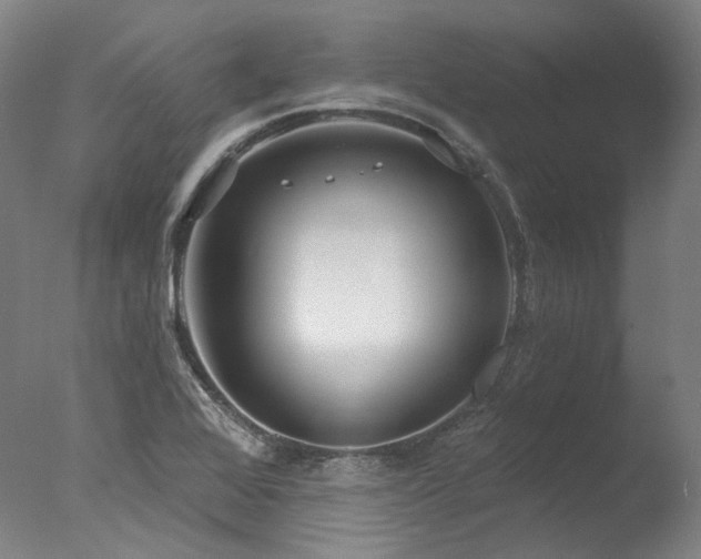 X0000077411368200610201450