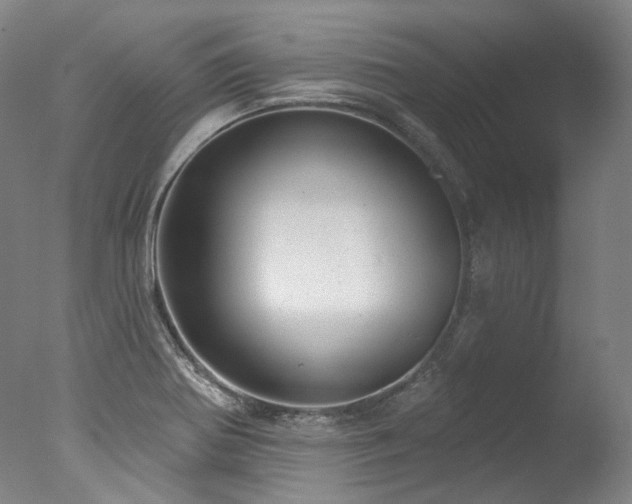 X0000077411370200610201450