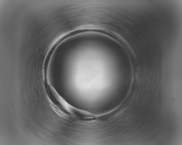X0000077411372200610201450