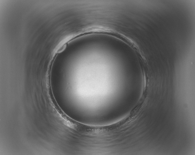 X0000077411375200610201450