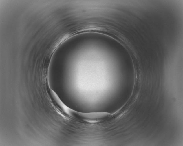X0000077411377200610201450