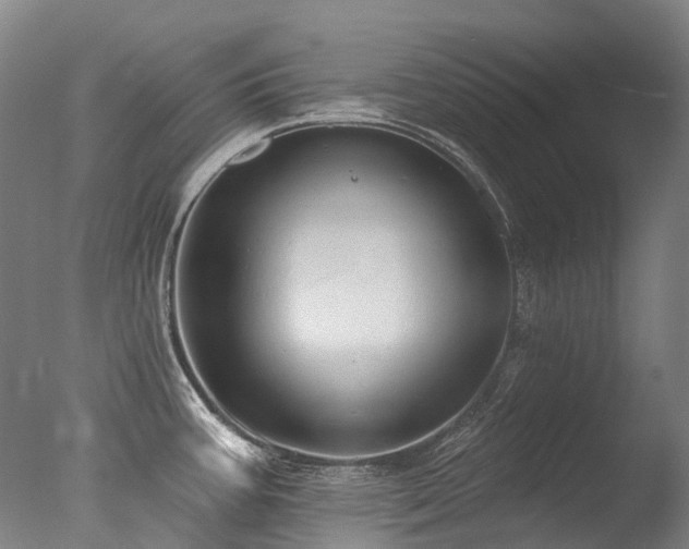 X0000077411387200610201449