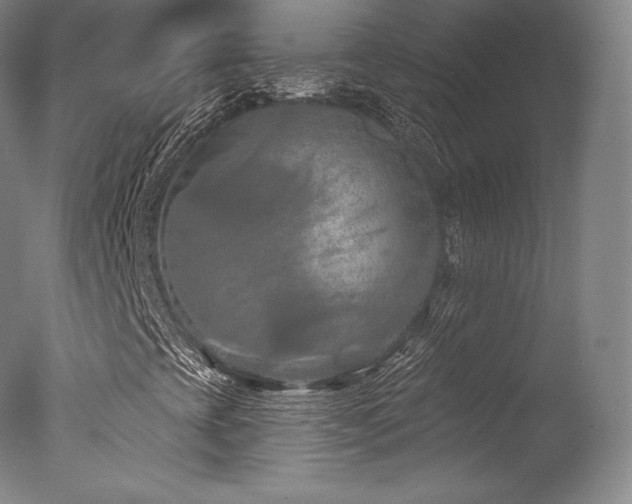 X0000077411393200610201449