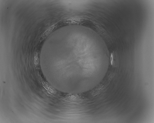 X0000077411395200610201449