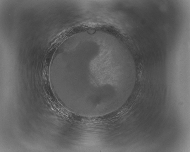 X0000077411397200610201449