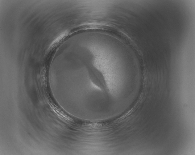 X0000077411403200610201449