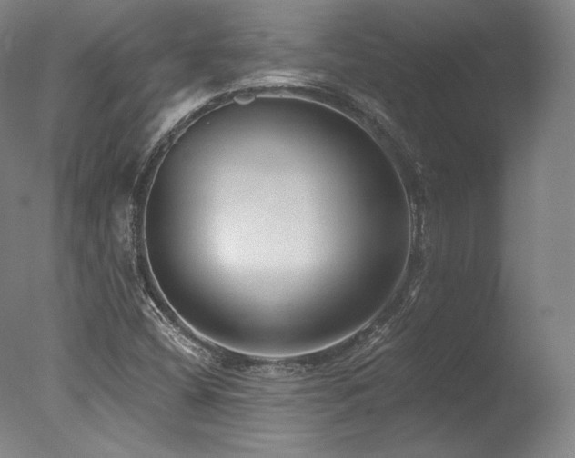 X0000077411404200610201449