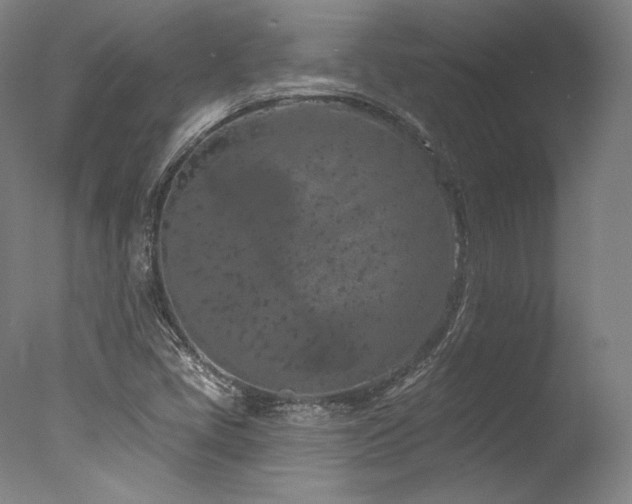 X0000077411405200610201449