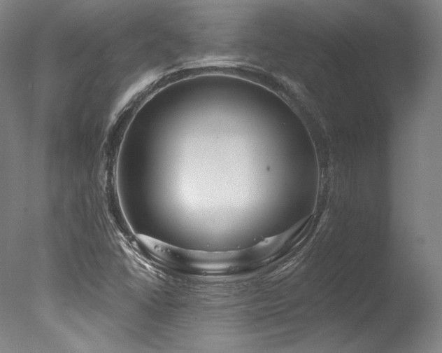 X0000077411406200610201449