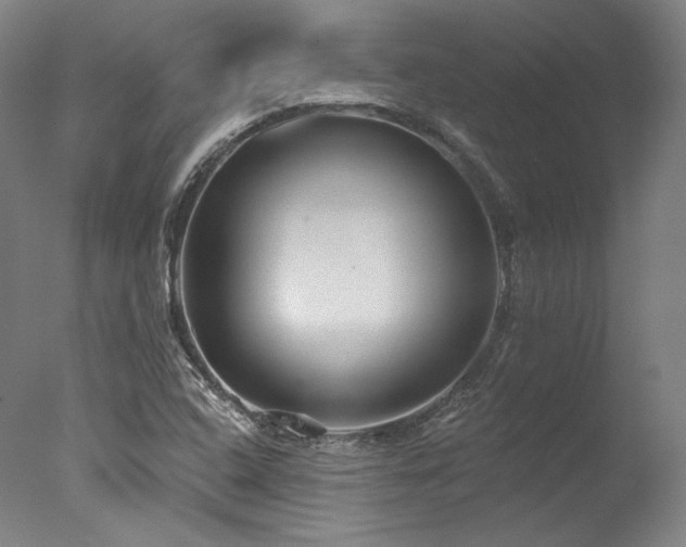 X0000077411408200610201449