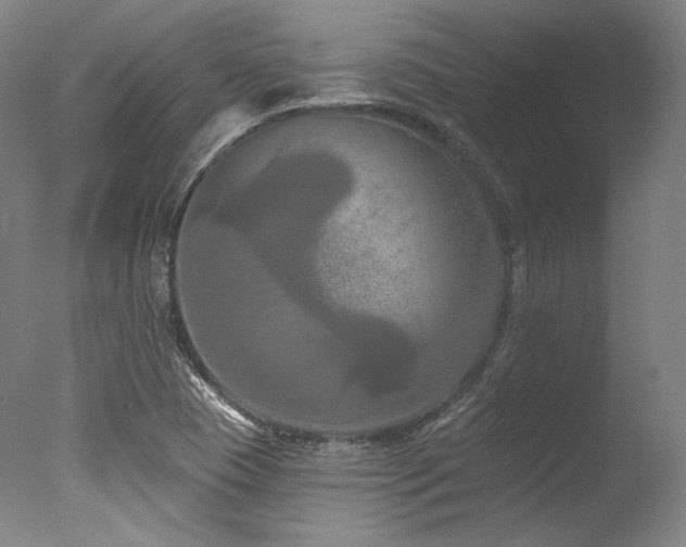 X0000077411409200610201449