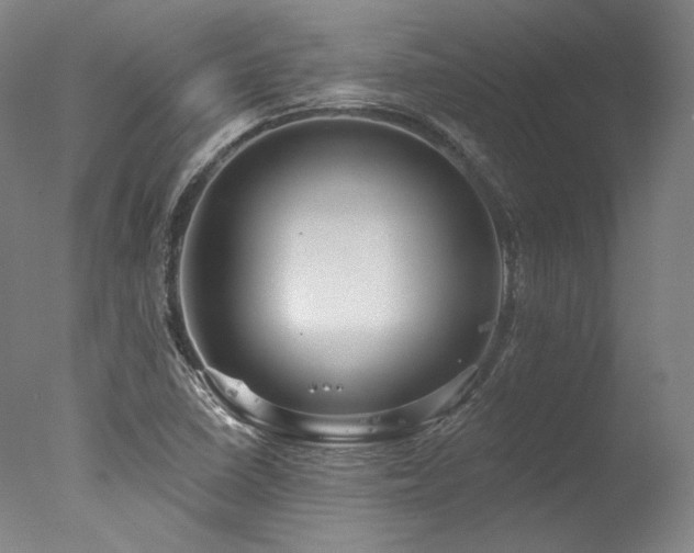 X0000077411410200610201449
