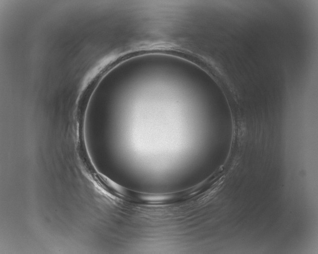X0000077411414200610201449